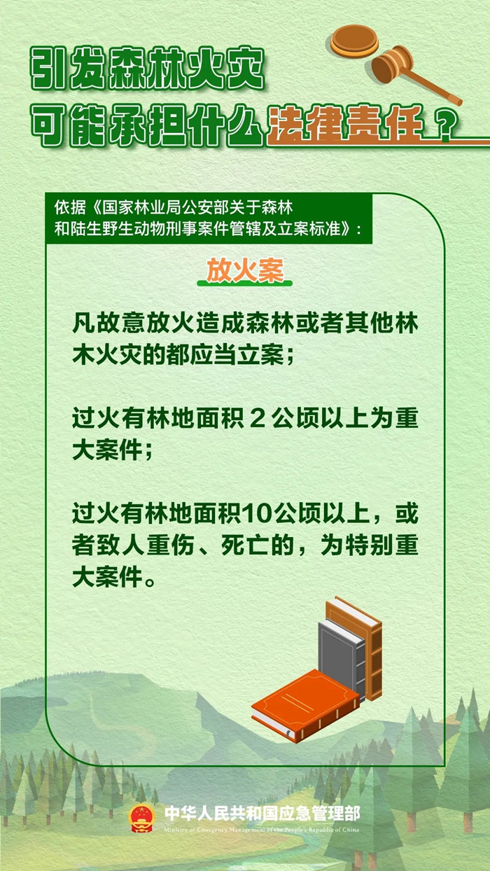 森林圖片2.jpg