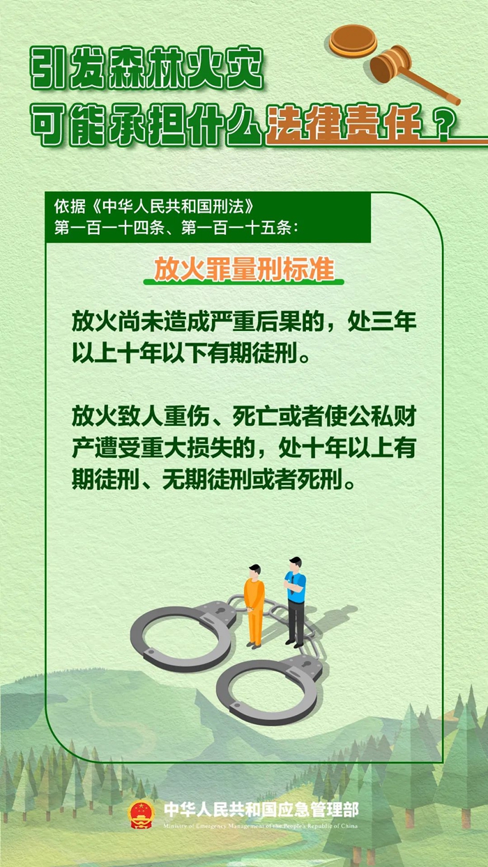 森林圖片4.jpg