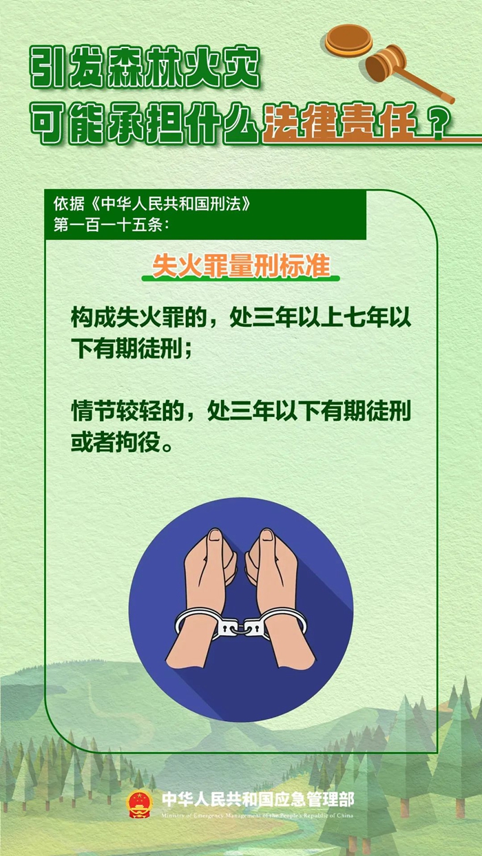 森林圖片5.jpg