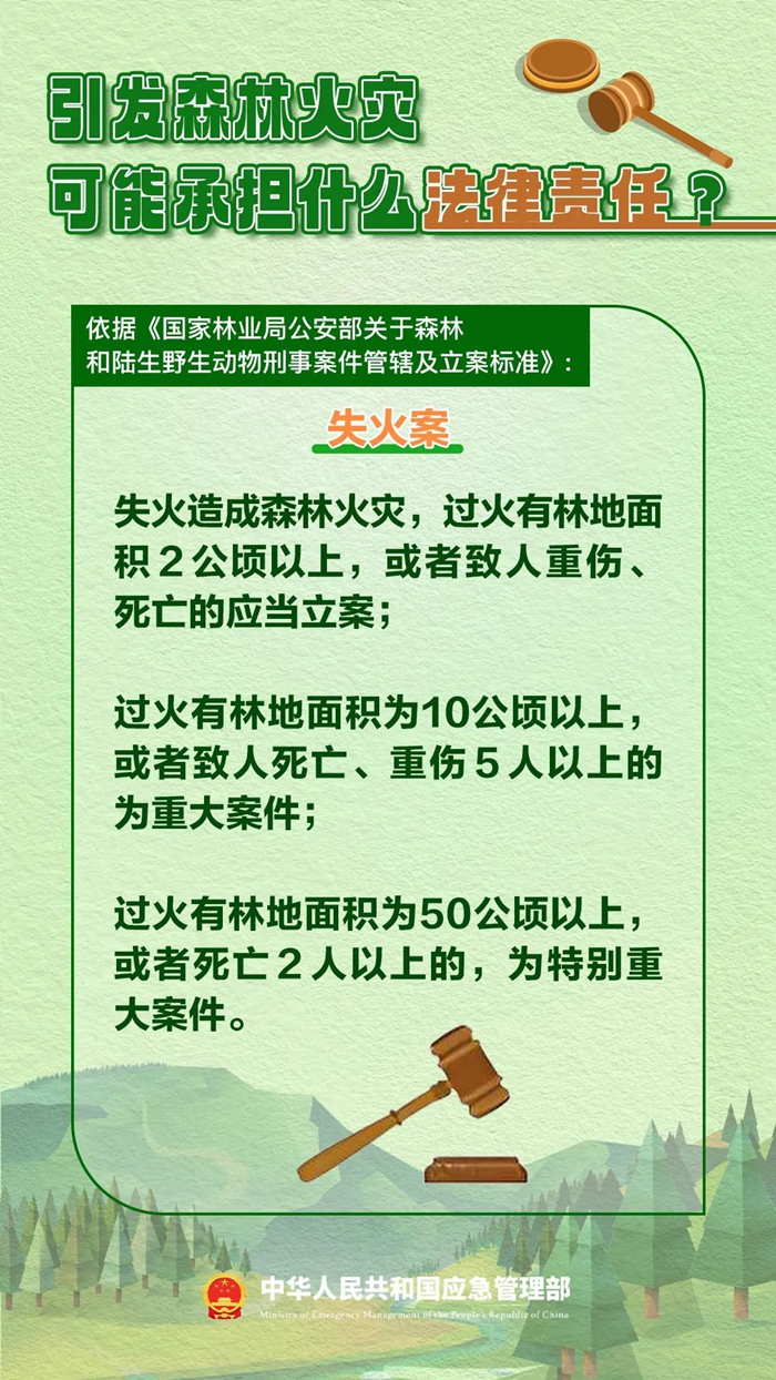 森林圖片3.jpg